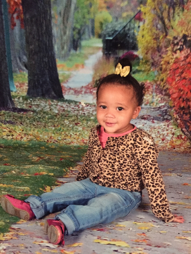 image /assets/images/0-19-QrMddPCow50qwYvv.jpg