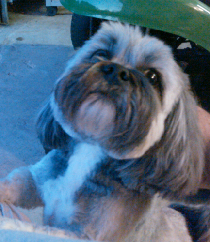 image /assets/images/0-19-iGpd0jOZPjIxR4Dc.jpg